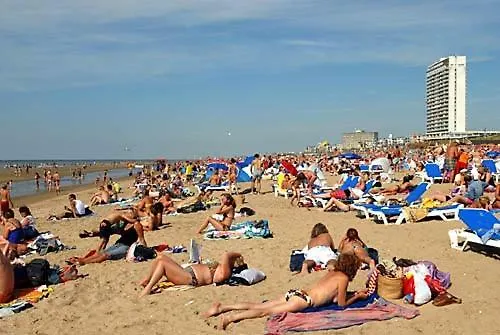 Sunnyzandvoort