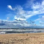 Sunnyzandvoort بيت ضيافة زاندفورت
