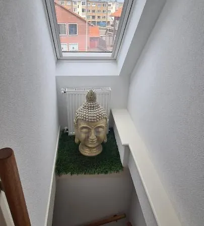 Sunnyzandvoort בית הארחה