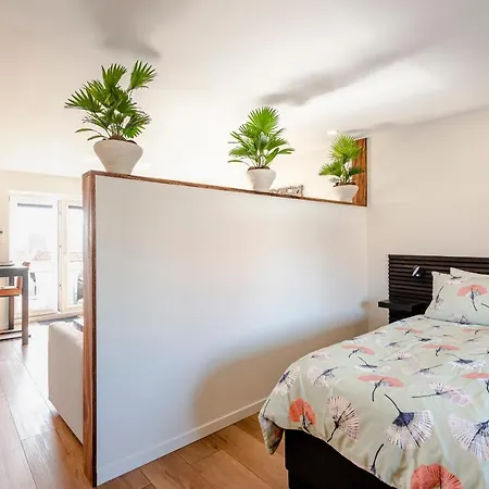 בית הארחה Sunnyzandvoort זנדוורט