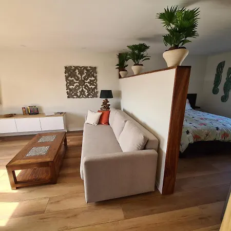 Sunnyzandvoort 4* זנדוורט