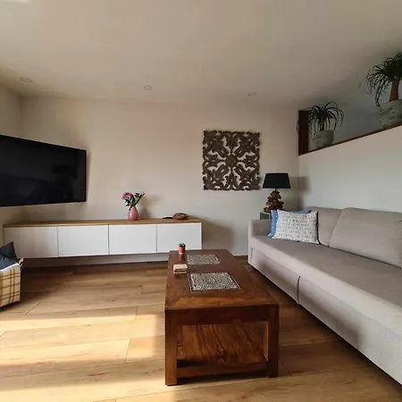 Sunnyzandvoort 4* زاندفورت