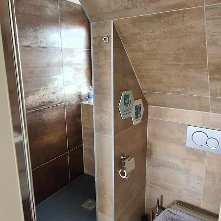 Sunnyzandvoort זנדוורט