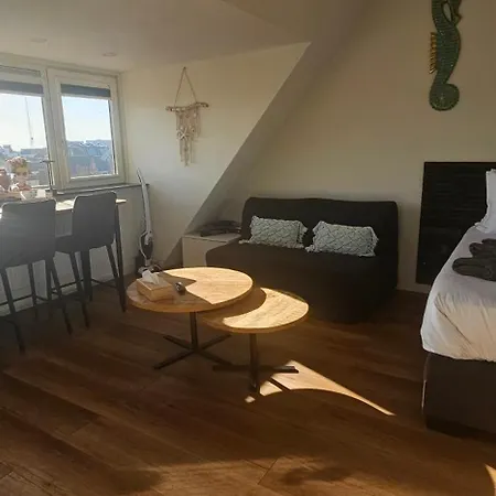 Sunnyzandvoort 招待所 4*