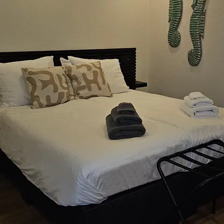 بيت ضيافة Sunnyzandvoort 4*