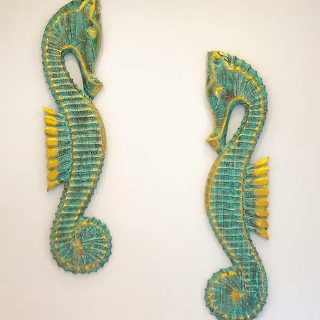 Sunnyzandvoort בית הארחה