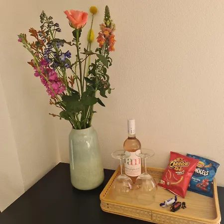 Sunnyzandvoort Zandvoort