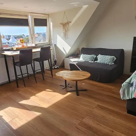 Sunnyzandvoort Penzion 4*