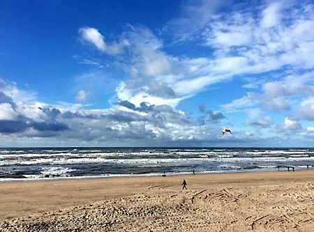 Sunnyzandvoort 招待所 赞德沃特